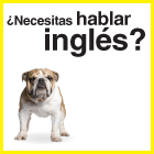 City Lights School of English 968 413 910