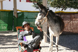 Platero y yo