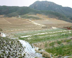 Zerrichera