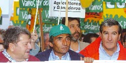 Manifestación agricultores Murcia