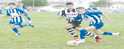 juvenil