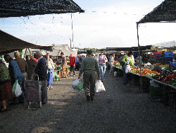 Mercado