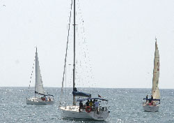 Regata