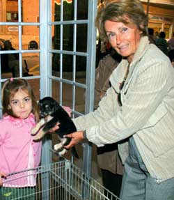 la asociación regala cachorros